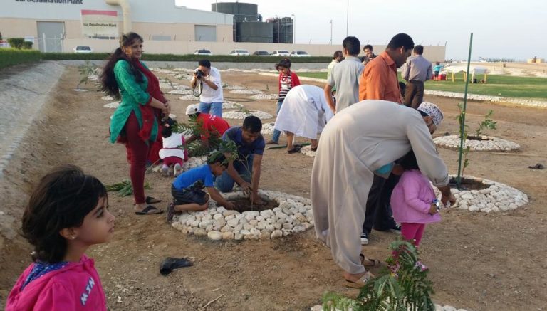 Tree Planting